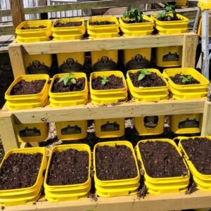 Upcycled Kitty Litter Bucket Garden Frame Plans