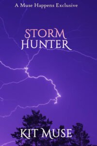 Book Cover: Storm Hunter