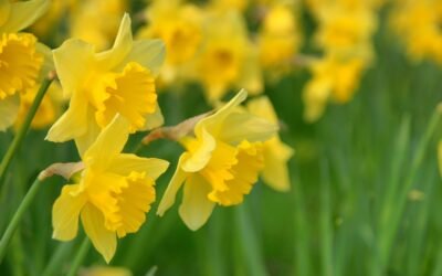 Oh Warmth, How I’ve Missed You