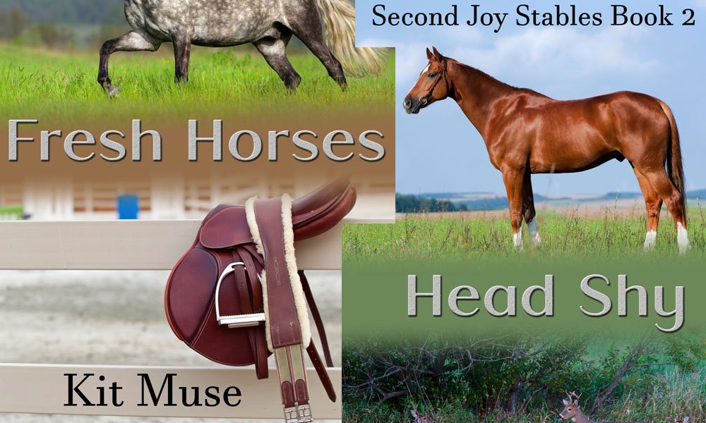 New Covers for the Second Joy Stable Series