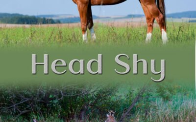 Excerpt from Head Shy (Second Joy Stable Book 2) #SnippetSunday