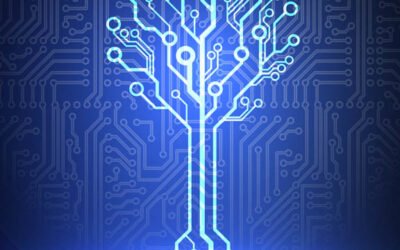 Unhidden Joy (A Muse Happens Exclusive Short Story)