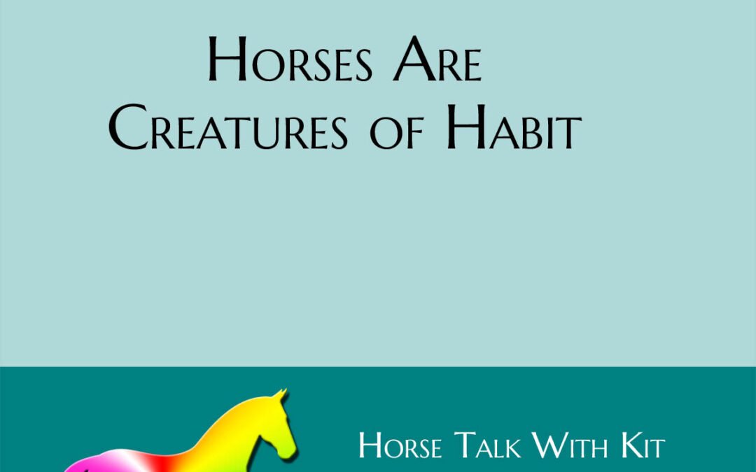 Horses Are Creature of Habit