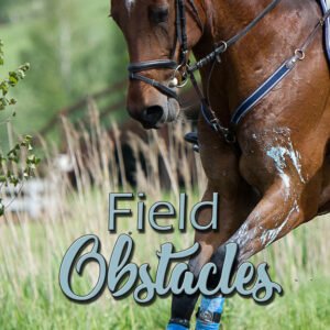 Field Obstacles