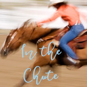 In The Chute