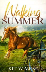 Book Cover: Walking Summer