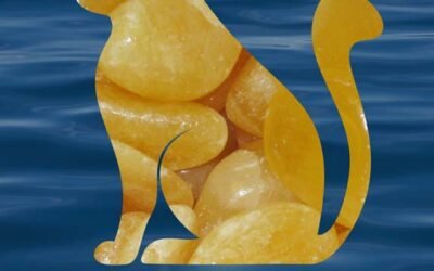 Orains and The Calcite Collar (Muse Happens Exclusive)