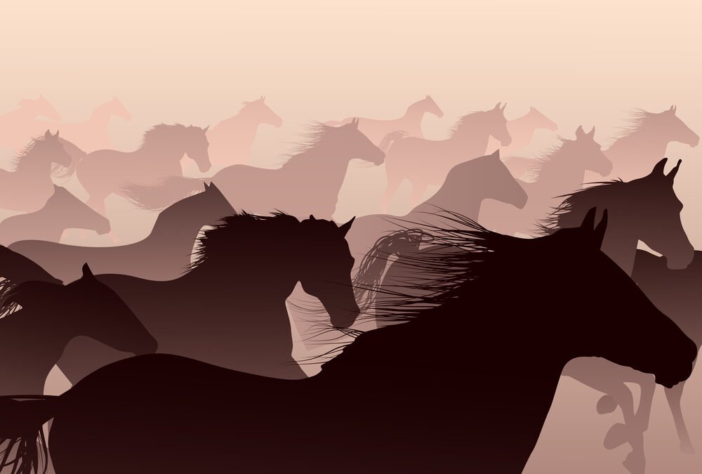 How Can I Write So Much About Horses?