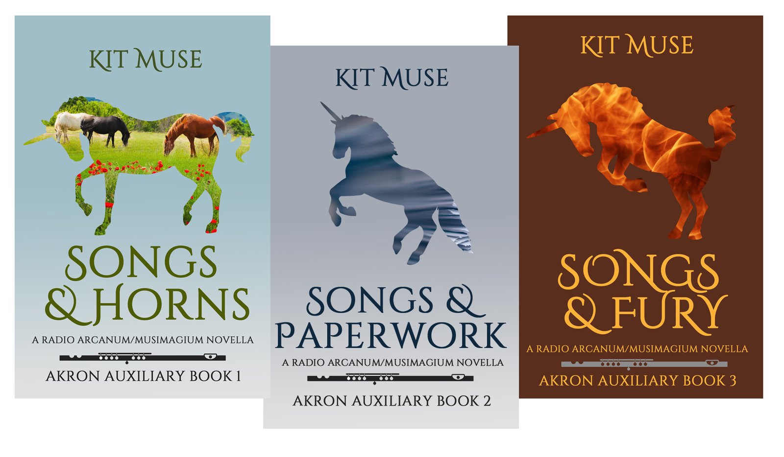 Akron Auxiliary Book Bundle