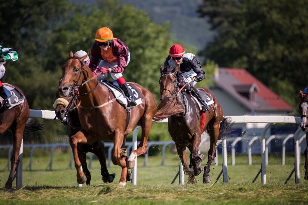An image of race horses galloping on the track to indicate finishing projects