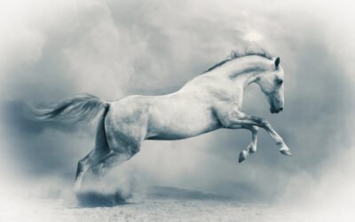 Forget Red Bull, Horses Give Us Wings
